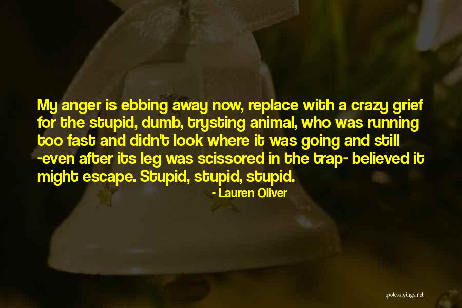 Masoumeh Zarei Quotes By Lauren Oliver Masoumeh Zarei Quotes By Lauren Oliver