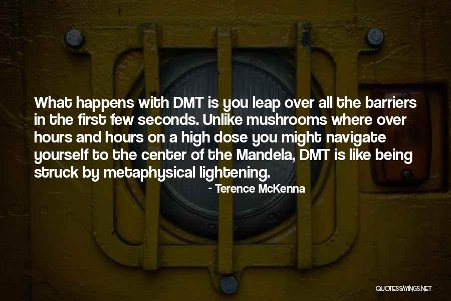 Masques De Protection Quotes By Terence McKenna Masques De Protection Quotes By Terence McKenna