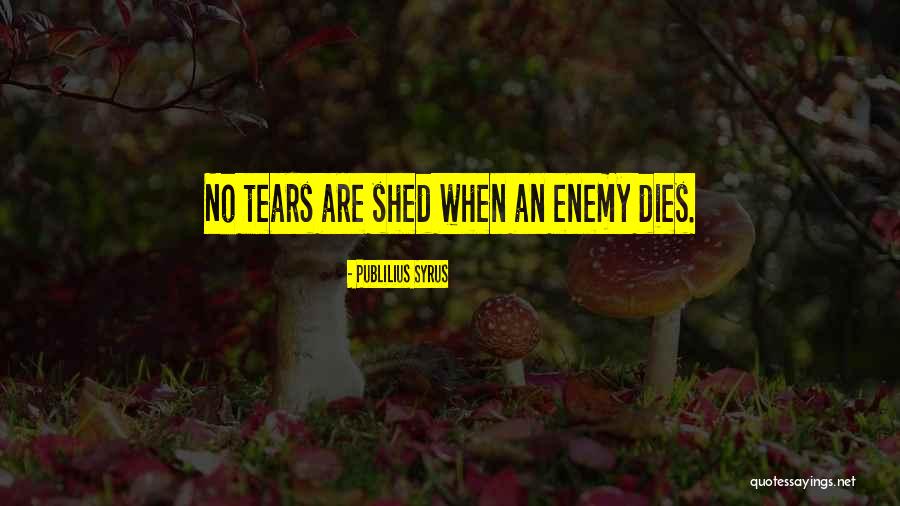 Masri Medical Apopka Quotes By Publilius Syrus