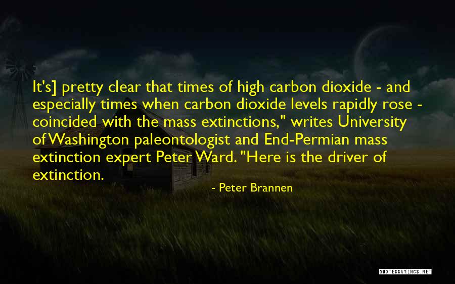 Mass Extinctions Quotes By Peter Brannen