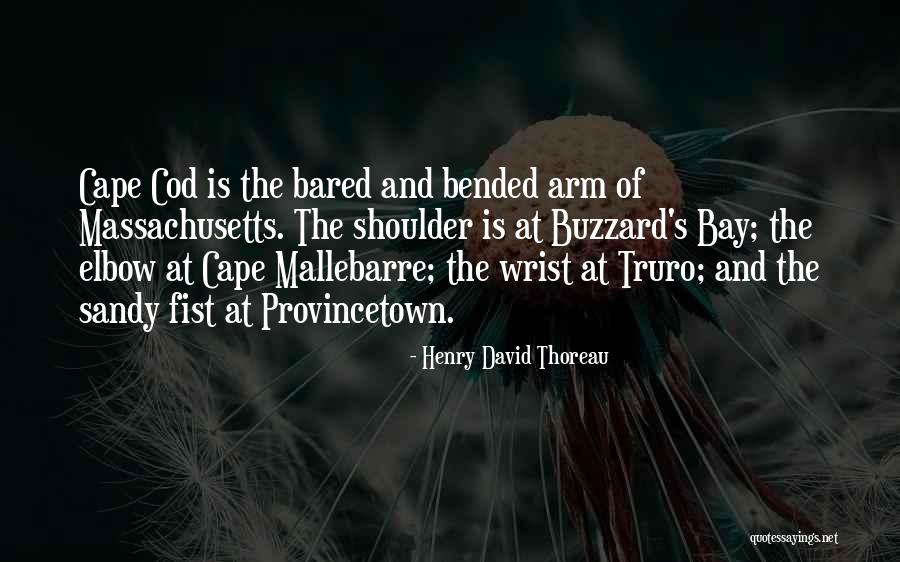 Massachusetts Bay Quotes By Henry David Thoreau