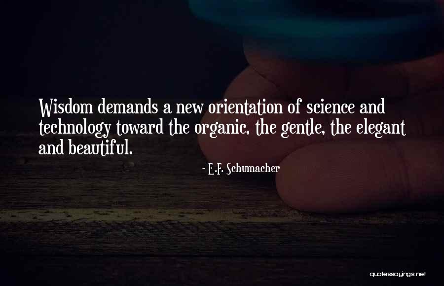 Massarda Quotes By E.F. Schumacher Massarda Quotes By E.F. Schumacher