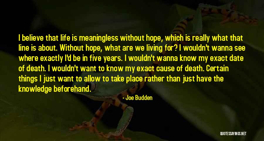 Masselin Ave Quotes By Joe Budden