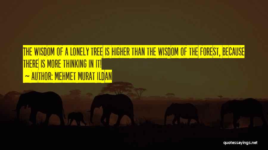 Massui Quotes By Mehmet Murat Ildan