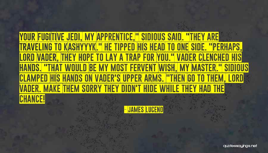 Master And Apprentice Quotes By James Luceno Master And Apprentice Quotes By James Luceno