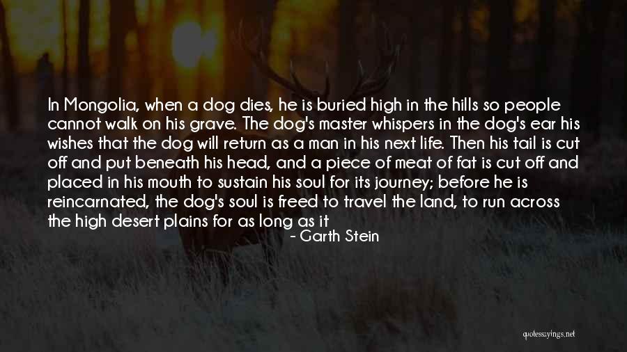 Master Death Quotes By Garth Stein Master Death Quotes By Garth Stein