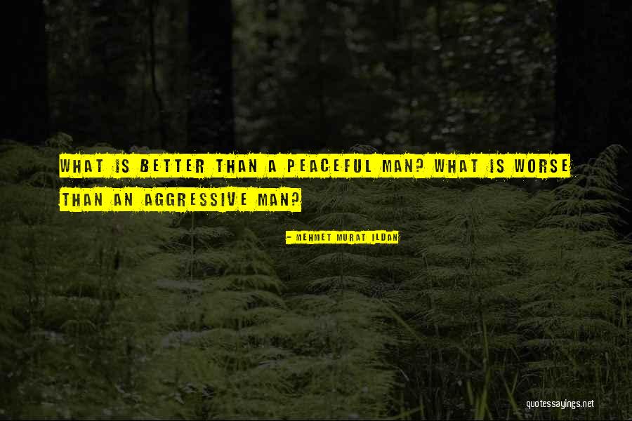 Master Genkai Quotes By Mehmet Murat Ildan Master Genkai Quotes By Mehmet Murat Ildan