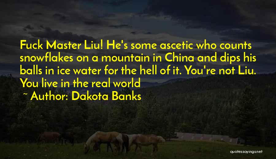 Master Of The Mountain Quotes By Dakota Banks