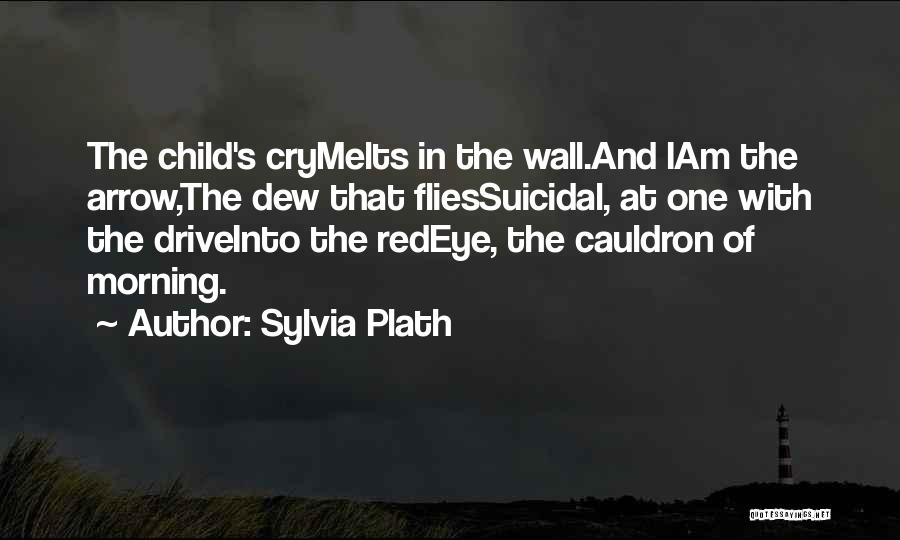 Master Orthodontics Quotes By Sylvia Plath