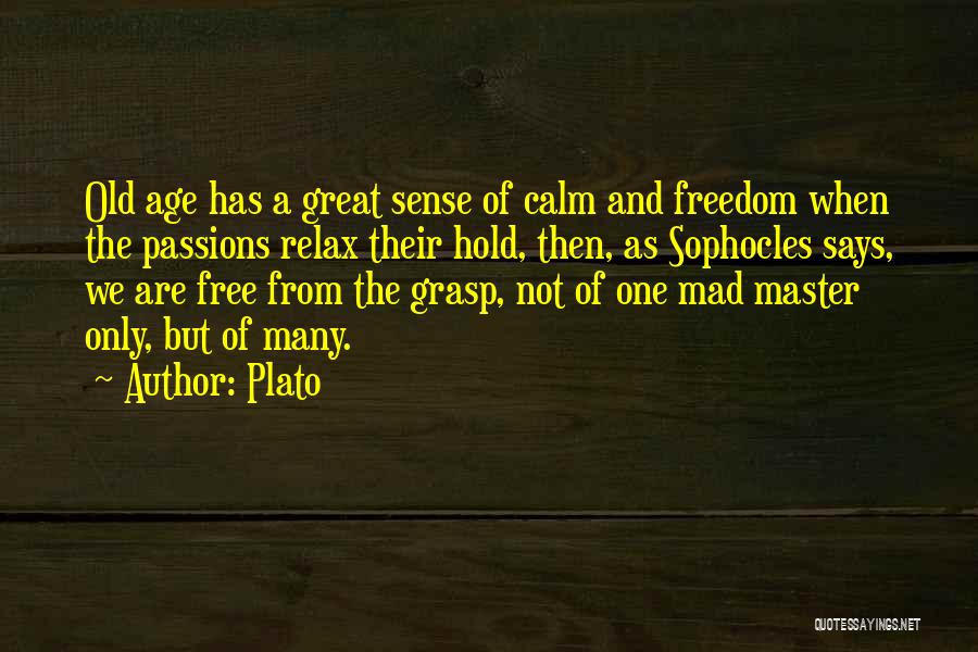 Master Quotes By Plato