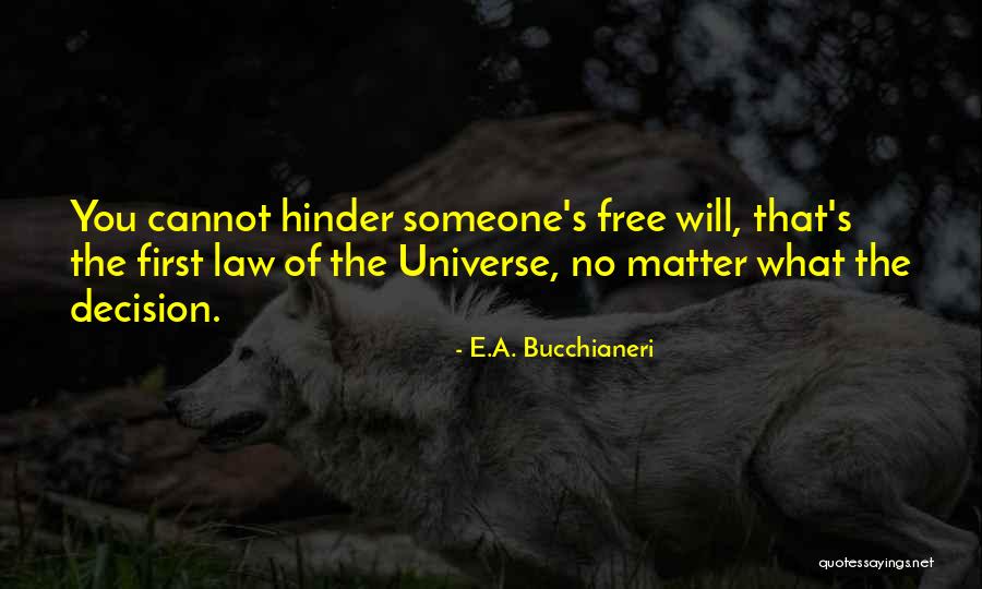 Master Saleem Quotes By E.A. Bucchianeri Master Saleem Quotes By E.A. Bucchianeri