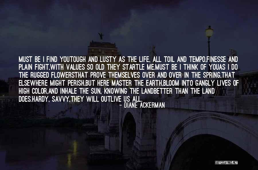 Master Sun Quotes By Diane Ackerman Master Sun Quotes By Diane Ackerman