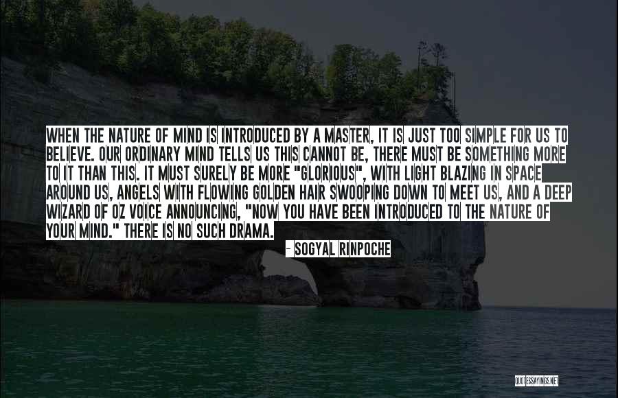 Master Your Mind Quotes By Sogyal Rinpoche Master Your Mind Quotes By Sogyal Rinpoche