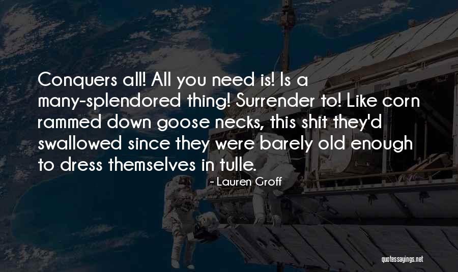 Mastermans Catalog Quotes By Lauren Groff Mastermans Catalog Quotes By Lauren Groff