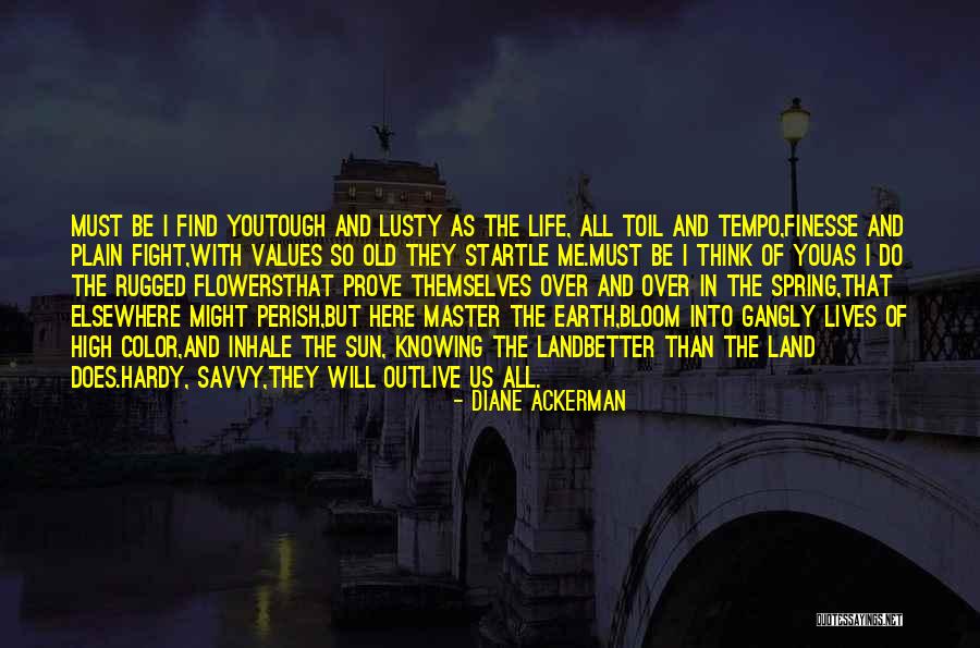 Master's Sun Quotes By Diane Ackerman Master's Sun Quotes By Diane Ackerman