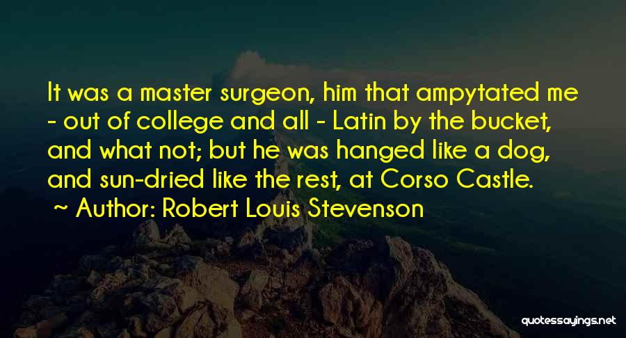 Master's Sun Quotes By Robert Louis Stevenson
