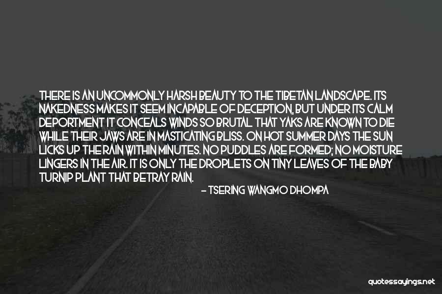 Masticating Quotes By Tsering Wangmo Dhompa Masticating Quotes By Tsering Wangmo Dhompa