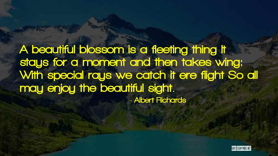 Mastin Presets Quotes By Albert Richards Mastin Presets Quotes By Albert Richards