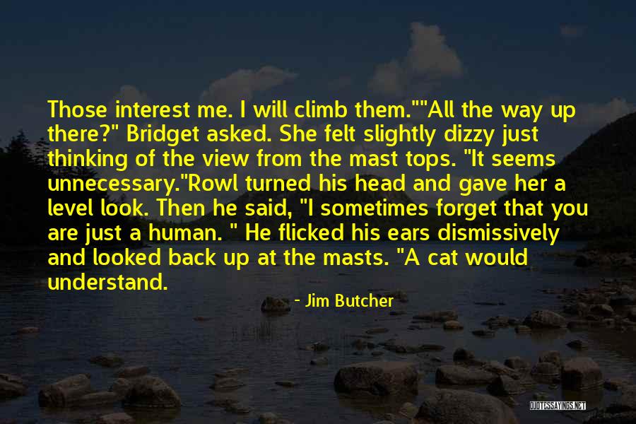 Masts Quotes By Jim Butcher Masts Quotes By Jim Butcher