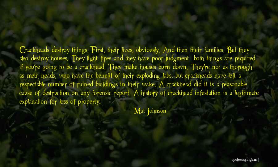 Mat Johnson Quotes 2087669 Mat Johnson Quotes 2087669
