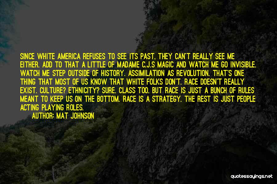 Mat Johnson Quotes 991523