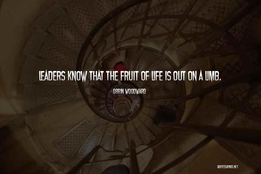 Matadouro De Porco Quotes By Orrin Woodward Matadouro De Porco Quotes By Orrin Woodward