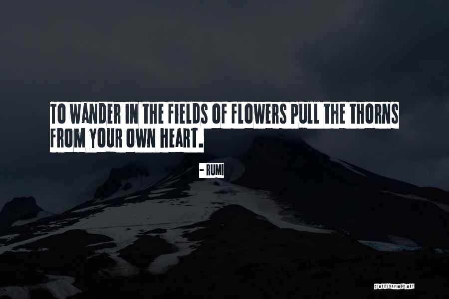 Matalan Sale Quotes By Rumi Matalan Sale Quotes By Rumi