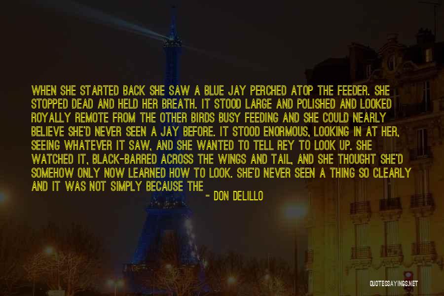 Matasci Arte Quotes By Don DeLillo Matasci Arte Quotes By Don DeLillo