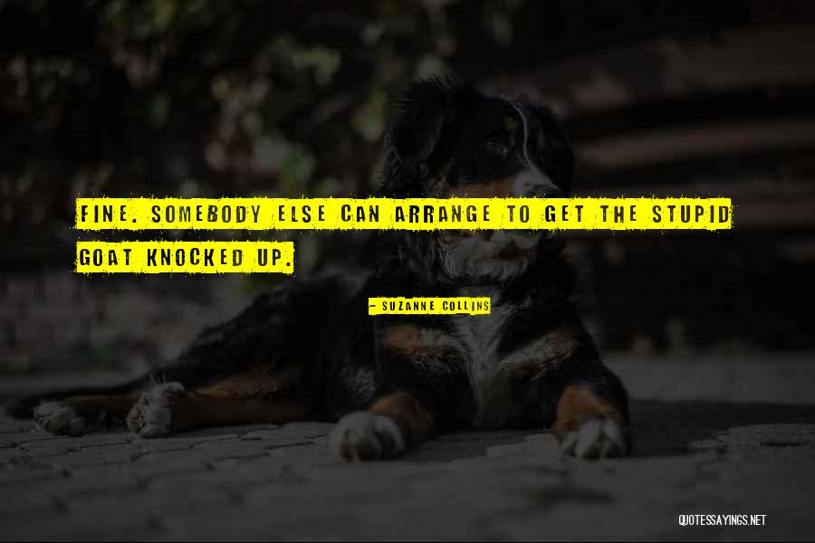 Matejcek Implement Quotes By Suzanne Collins Matejcek Implement Quotes By Suzanne Collins