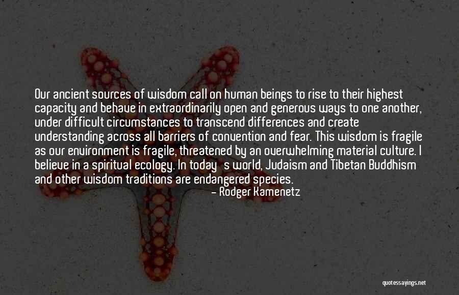 Material Culture Quotes By Rodger Kamenetz Material Culture Quotes By Rodger Kamenetz