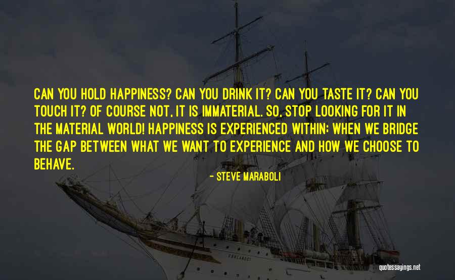 Material Happiness Quotes By Steve Maraboli Material Happiness Quotes By Steve Maraboli