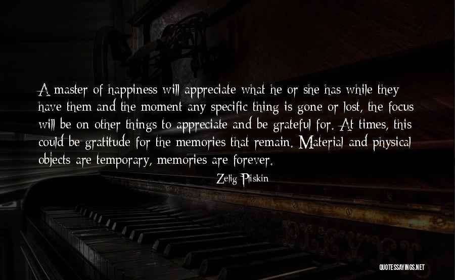 Material Objects Quotes By Zelig Pliskin Material Objects Quotes By Zelig Pliskin