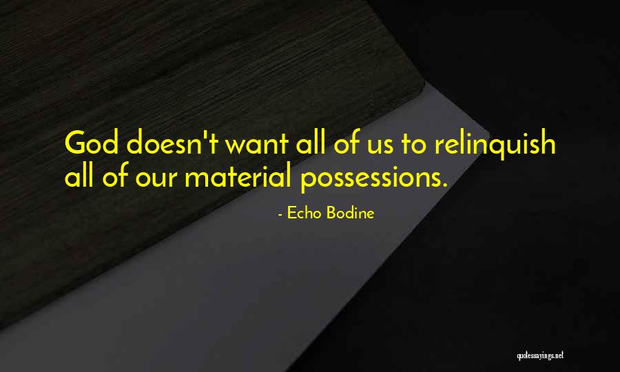 Material Possession Quotes By Echo Bodine