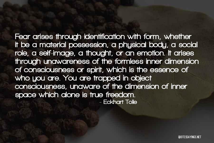 Material Possession Quotes By Eckhart Tolle