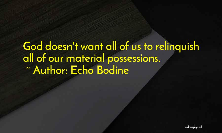 Material Possessions Quotes By Echo Bodine