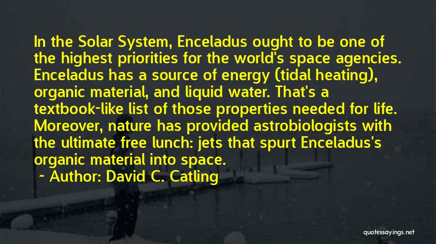 Material Science Quotes By David C. Catling