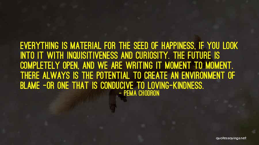 Material Things And Happiness Quotes By Pema Chodron