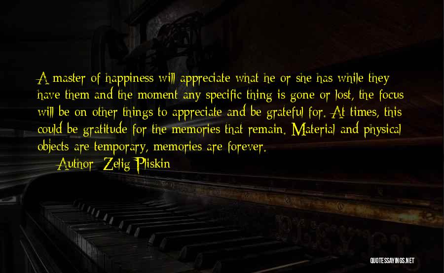 Material Things And Happiness Quotes By Zelig Pliskin