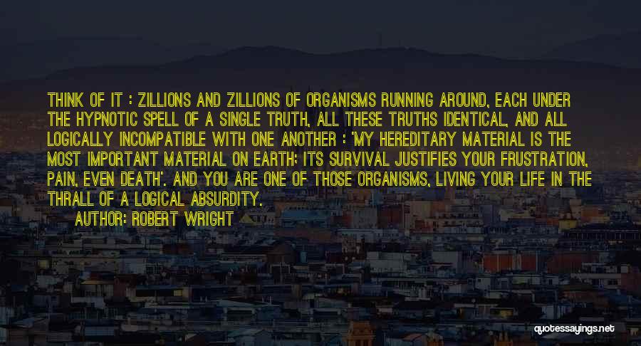 Material Things Not Important Quotes By Robert Wright