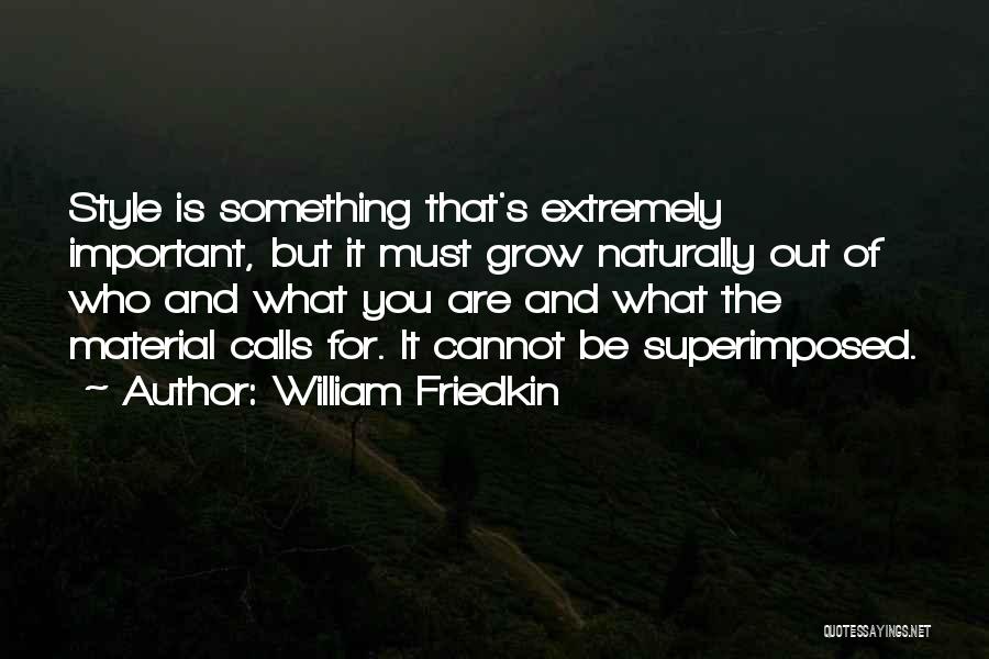 Material Things Not Important Quotes By William Friedkin