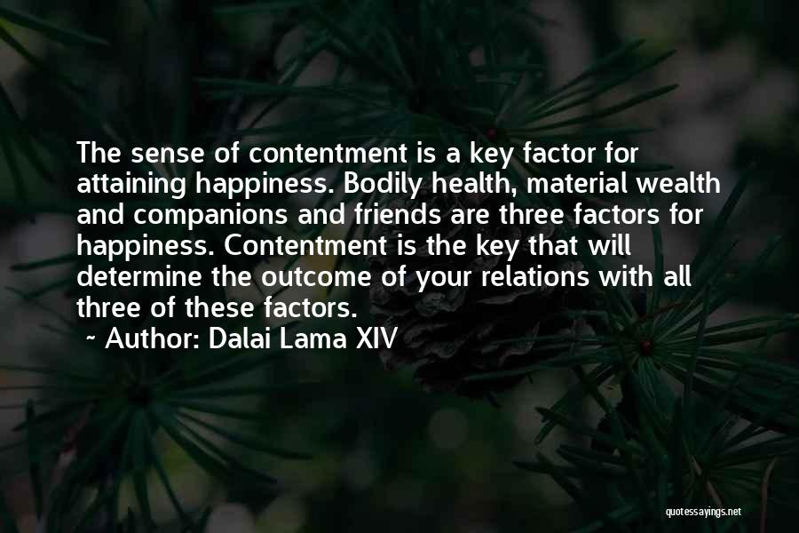 Material Wealth And Happiness Quotes By Dalai Lama XIV