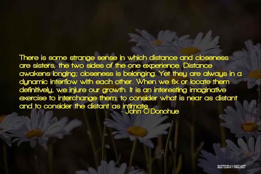 Materialismo Definicion Quotes By John O'Donohue Materialismo Definicion Quotes By John O'Donohue
