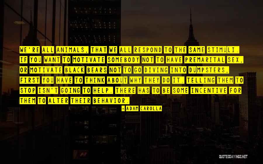 Materializar Significado Quotes By Adam Carolla Materializar Significado Quotes By Adam Carolla