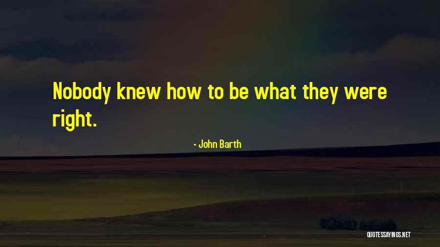 Materialized Views Quotes By John Barth Materialized Views Quotes By John Barth