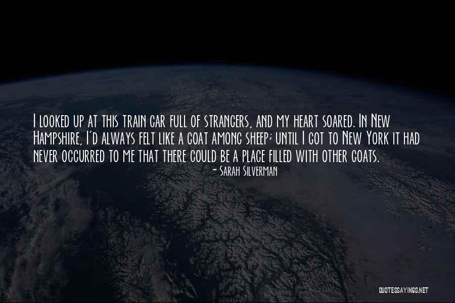 Materializes Synonyms Quotes By Sarah Silverman Materializes Synonyms Quotes By Sarah Silverman