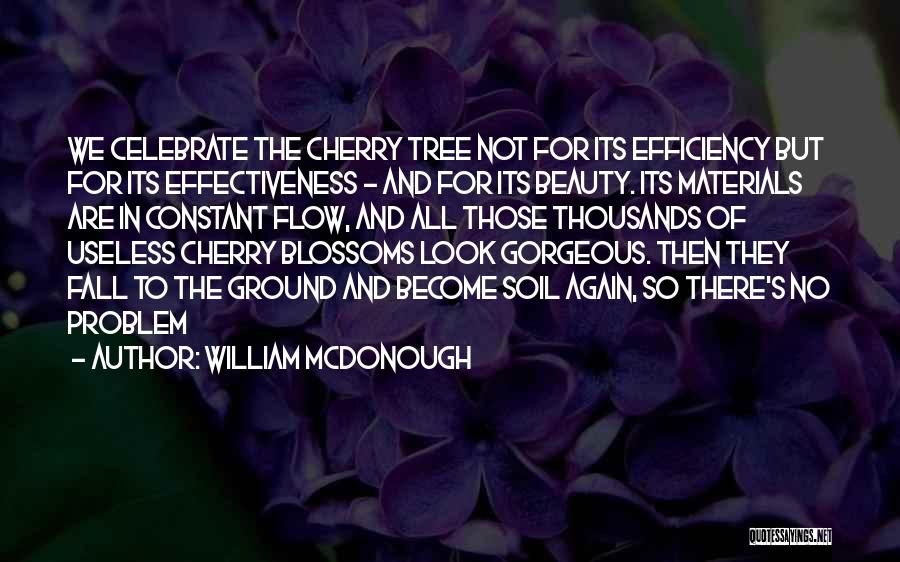 Materials Quotes By William McDonough