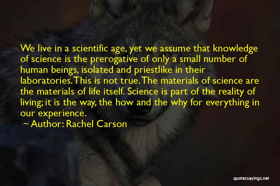 Materials Science Quotes By Rachel Carson