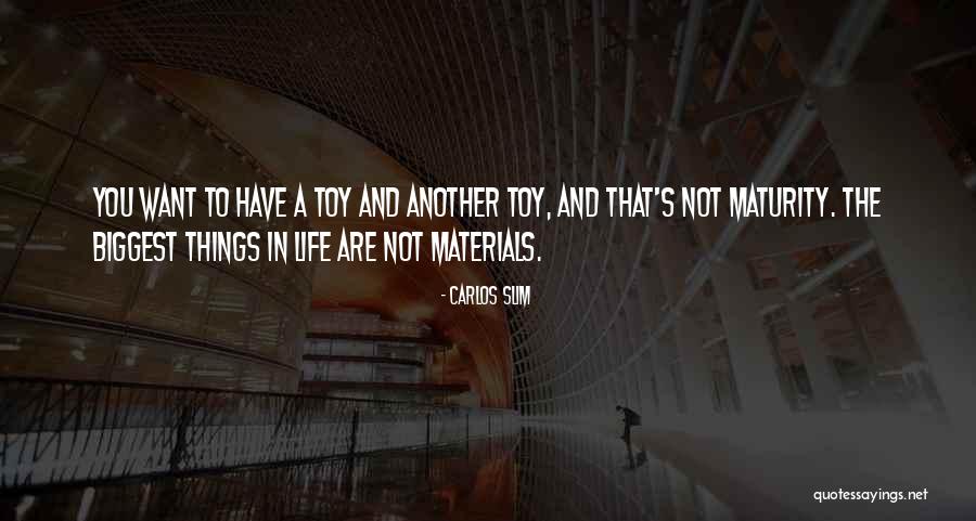 Materials Things Quotes By Carlos Slim