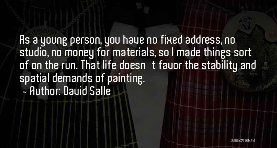 Materials Things Quotes By David Salle