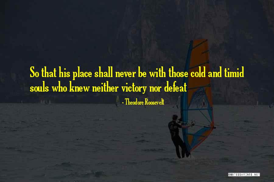 Materieel Betekenis Quotes By Theodore Roosevelt Materieel Betekenis Quotes By Theodore Roosevelt